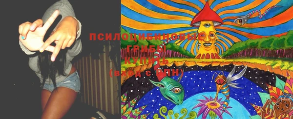 спиды Кулебаки