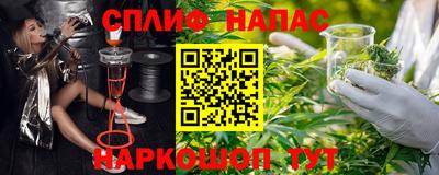 прущие крисы Будённовск