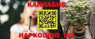 прущие крисы Будённовск