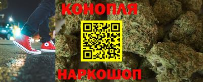 прущие крисы Будённовск