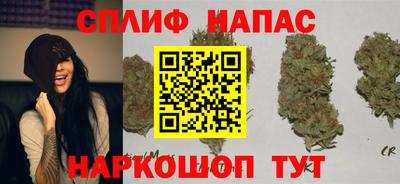 прущие крисы Будённовск