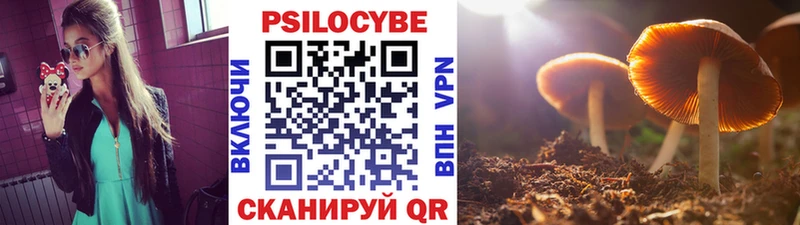 сайты даркнета состав  Воронеж  Псилоцибиновые грибы мицелий 