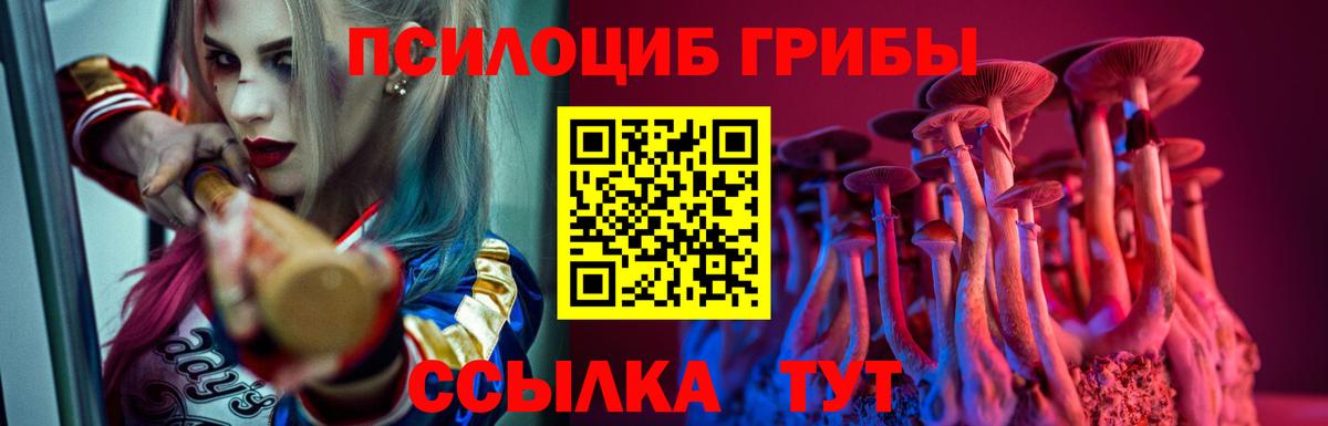 Галлюциногенные грибы Psilocybe  где можно купить наркотик  Воронеж  Псилоцибиновые грибы GOLDEN TEACHER 